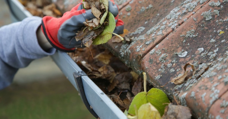 How Often Should You Clean Your Gutters?